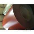 Kleur Coated Steel Coil RAL6029